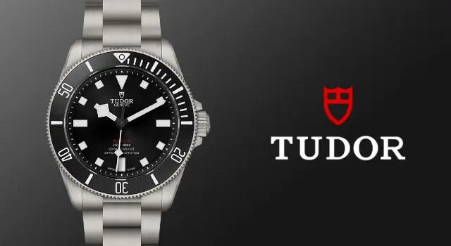 Tudor banner marzo 2023 Nicora 640