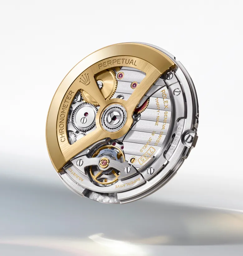orologi rolex Land-Dweller - Nicora