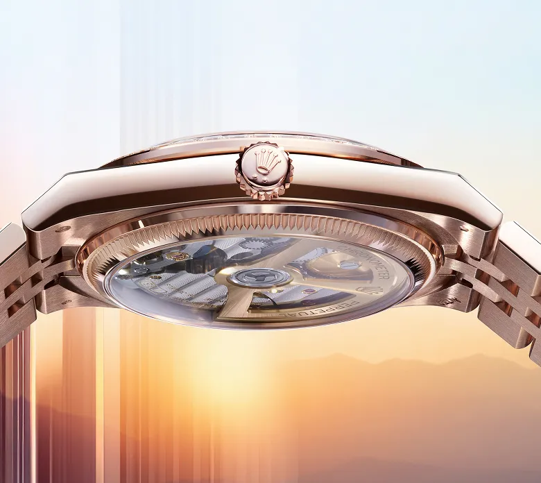 orologi rolex Land-Dweller - Nicora